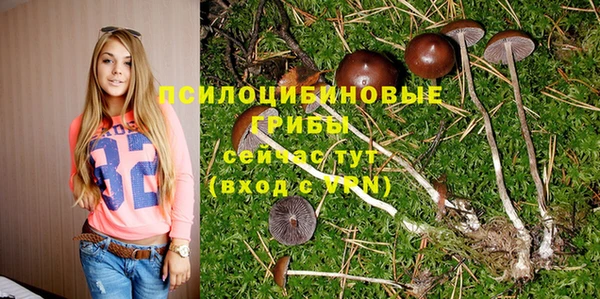 spice Алексеевка
